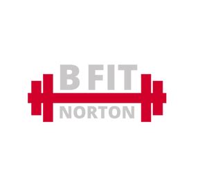 b fit norton|B FIT NORTON INC.